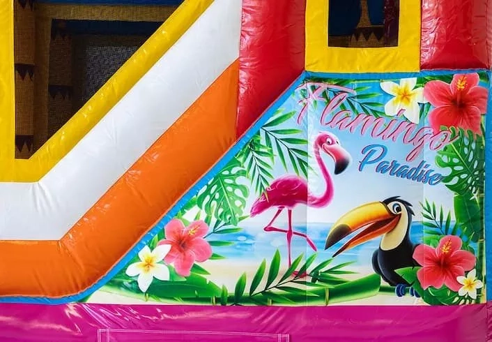 Flamingo springkasteel - Spring Events - foto 10