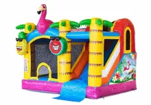 Flamingo springkasteel - Spring Events - foto 6