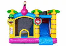 Flamingo springkasteel - Spring Events - foto 7