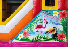 Flamingo springkasteel - Spring Events - foto 10
